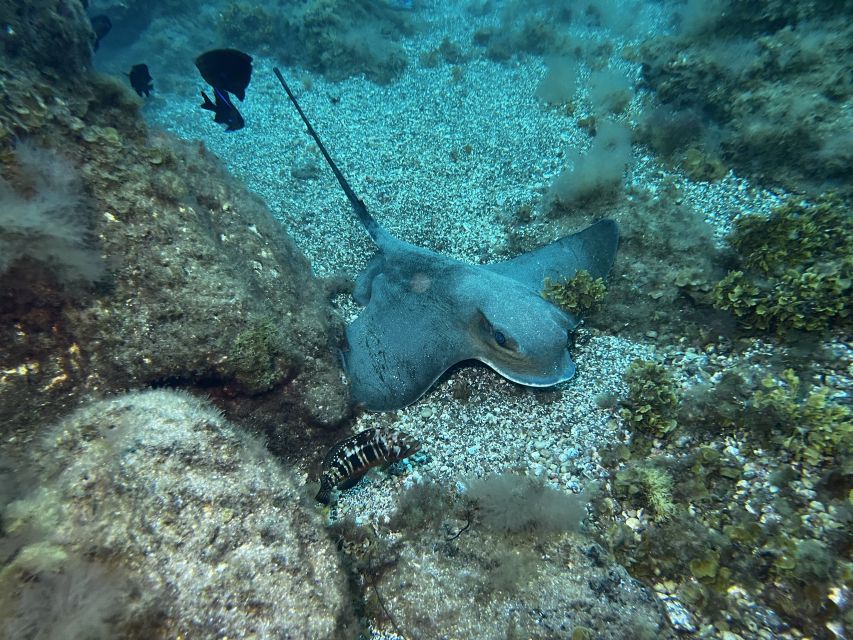 Abades: Guided Snorkeling Tour with Photos - Equipment, photos, and the practical beach details