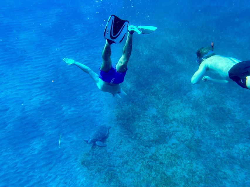 Abades: Guided Snorkeling Tour with Photos - How the tour compares with a boat-based snorkeling trip