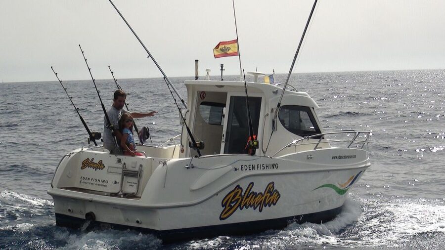 Adeje: 3.5–Hour Professional Fishing Experience - Setting out from Puerto Colón
