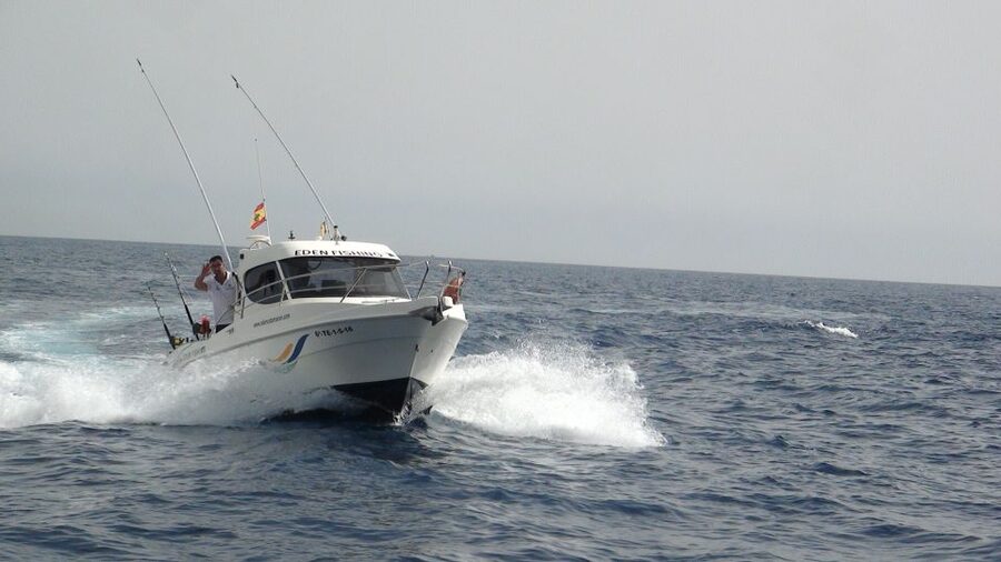 Adeje: 3.5–Hour Professional Fishing Experience - Fishing, swimming, and coastal views