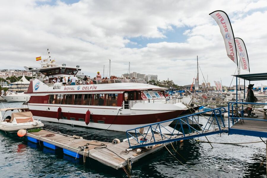 Adeje: Whale and Dolphin Watching Cruise with Lunch and Swim - Booking and day-of tips