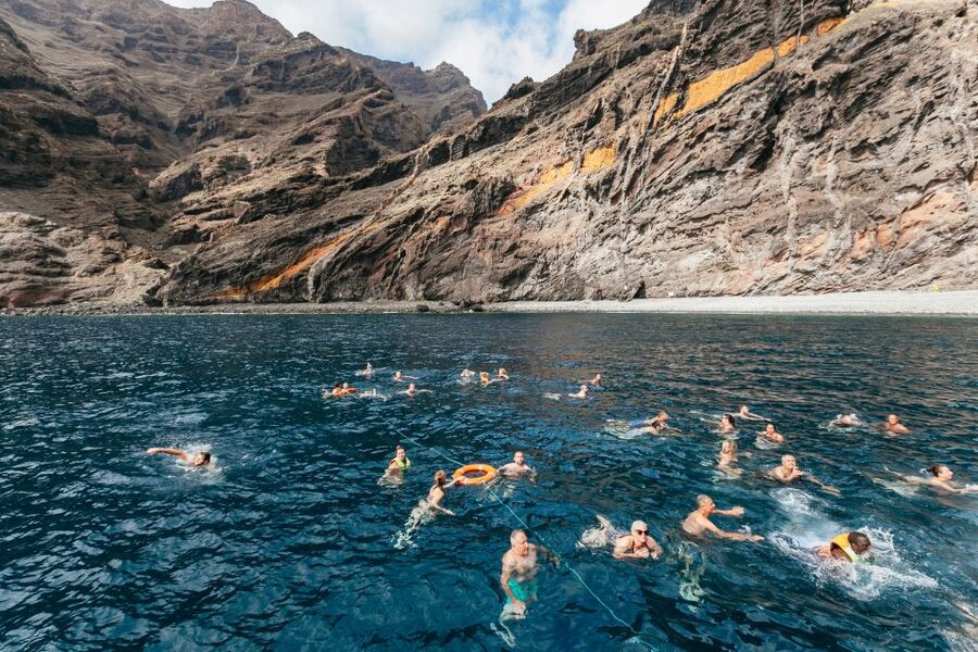 Adeje: Whale and Dolphin Watching Cruise with Lunch and Swim - Lunch, drinks, and the swim stop