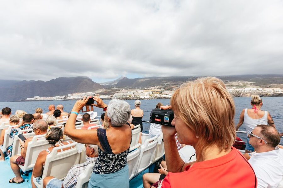 Adeje: Whale and Dolphin Watching Cruise with Lunch and Swim - Getting comfortable on a large catamaran