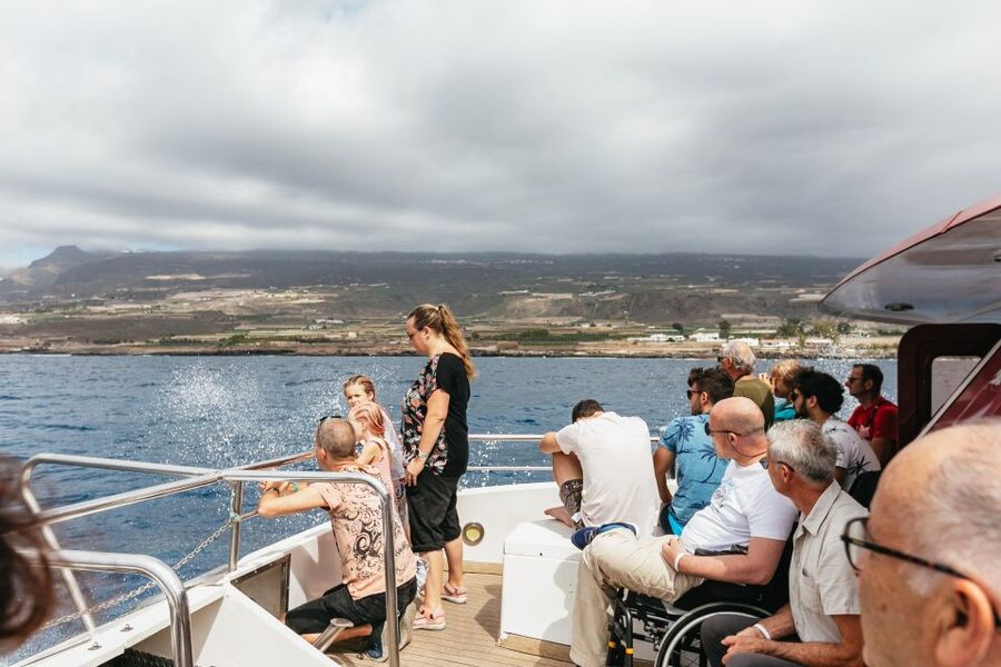 Adeje: Whale and Dolphin Watching Cruise with Lunch and Swim - Is $59 good value?