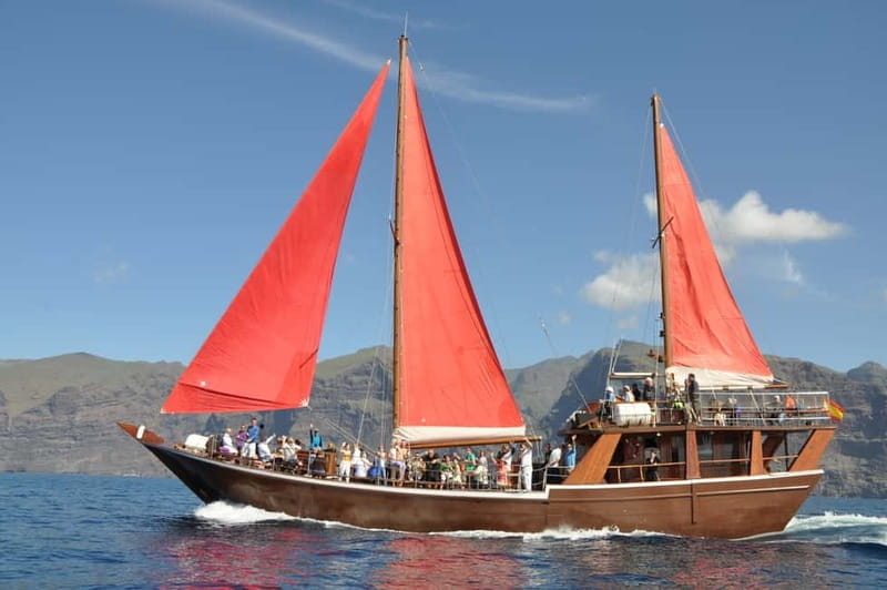 Adeje: Whale Watching Tour to Los Gigantes with lunch & swim - Key points before you book