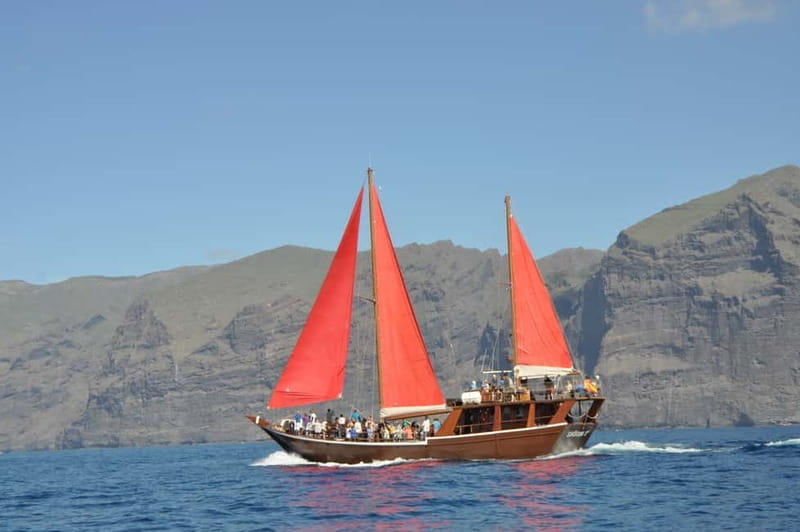 Adeje: Whale Watching Tour to Los Gigantes with lunch & swim - Who will enjoy this boat trip most