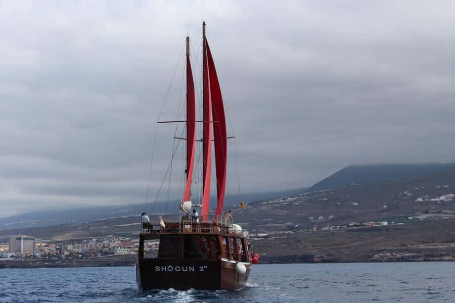 Adeje: Whale Watching Tour to Los Gigantes with lunch & swim - Simple ways to make the day better