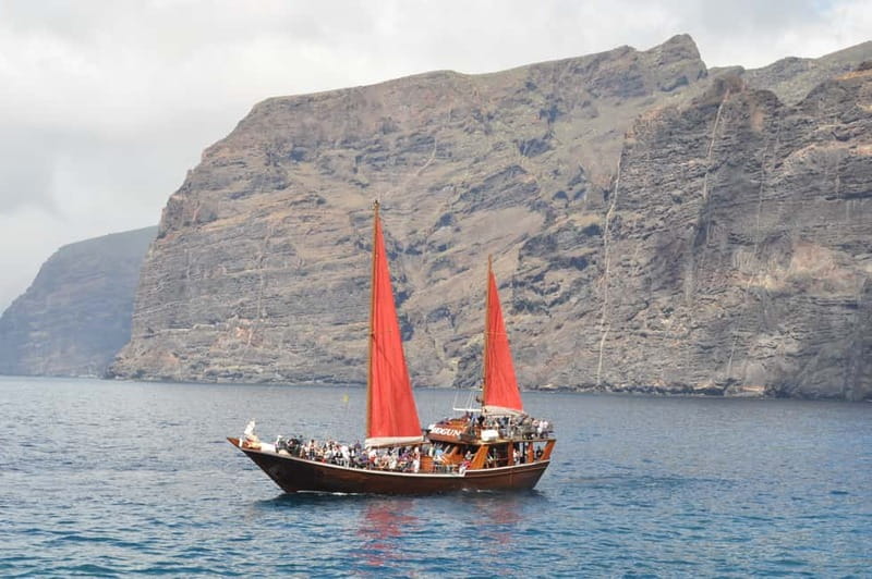 Adeje: Whale Watching Tour to Los Gigantes with lunch & swim - The wildlife search: pilot whales and dolphins