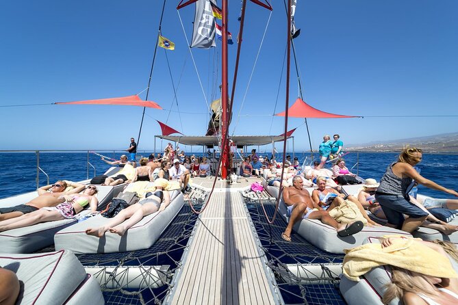 Adults Only Tenerife Freebird Whale Dolphin Catamaran with Lunch - Whale and dolphin watching in Tenerife