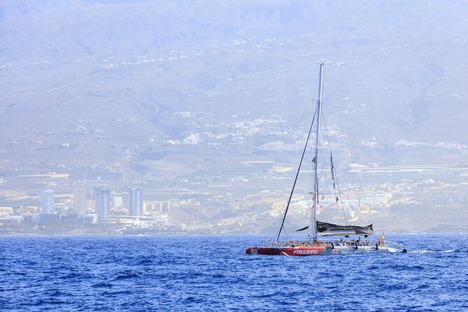 Adults Only Tenerife Freebird Whale Dolphin Catamaran with Lunch - The swim stop and snorkelling gear