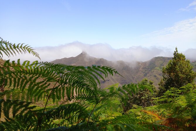 Amazing Anaga - Views that reward the effort