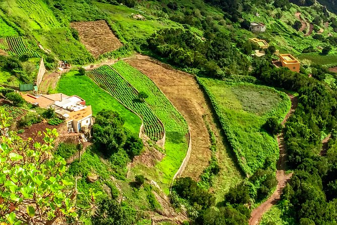 Anaga Private Tour: Valleys of Nature and Tradition - What the $920.24 price really buys