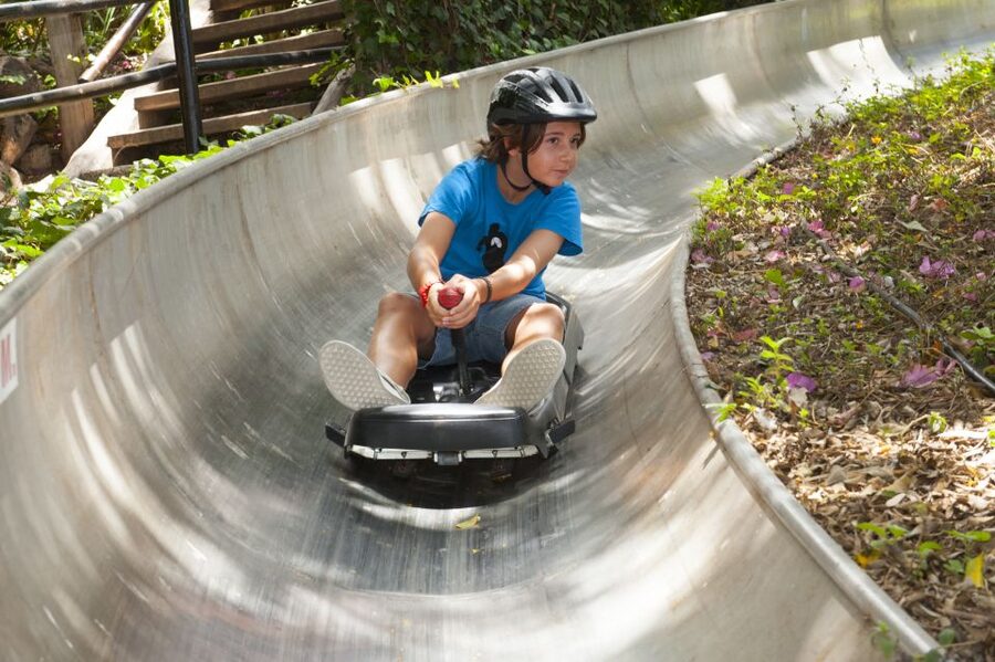 Arona: Entry Ticket to Tenerife's Jungle Park Zoo - A jungle setting in southern Tenerife