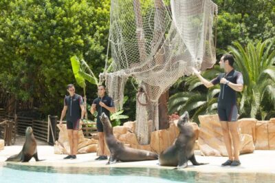 Entry Ticket to Tenerife’s Jungle Park Zoo