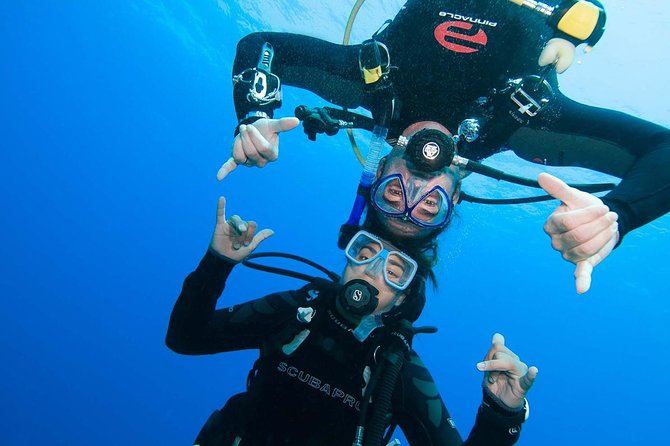 Basic Diver course for beginners with 1 dive in the Ocean - Key points at a glance