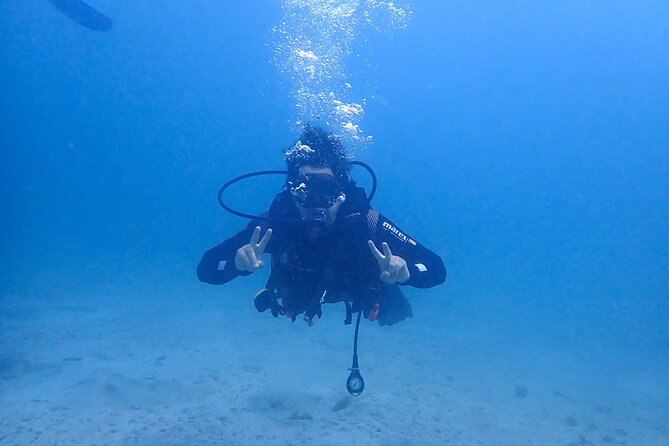 Basic Diver course for beginners with 1 dive in the Ocean - The theory session: learning what comes next
