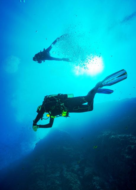 Beginner Scuba Dive with Scubapoint Tenerife in Turtle Area - Starting at Puerto Colon in Tenerife