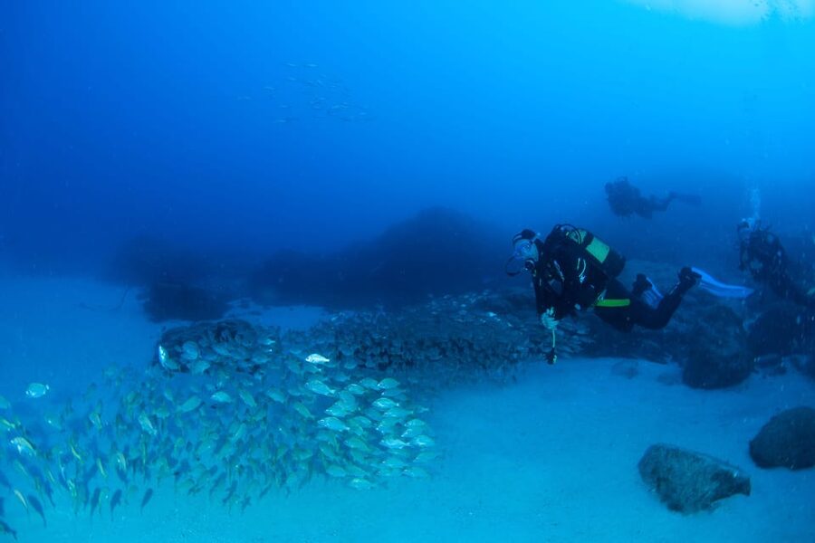 Beginner Scuba Dive with Scubapoint Tenerife in Turtle Area - Is $88 good value for a first scuba session?