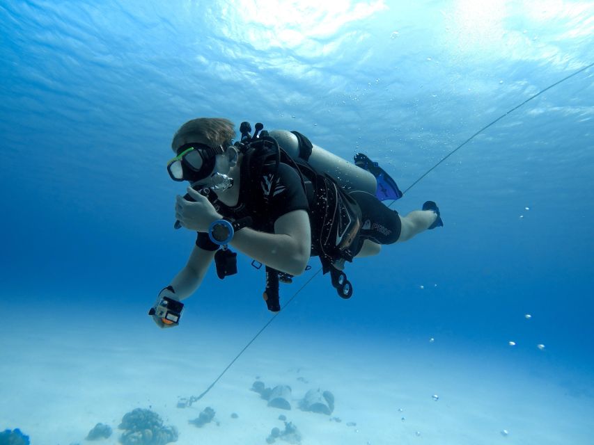 Beginner Scuba Dive with Scubapoint Tenerife in Turtle Area - Practical advice for a smoother session