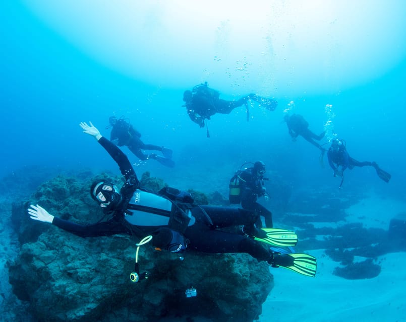 Beginner Scuba Dive with Scubapoint Tenerife in Turtle Area - The land lesson comes first