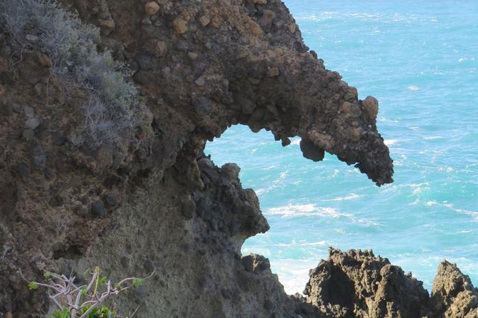 Boat Excursion to visit underwater lava tongues - Seeing Tenerife from below the waterline