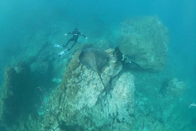 Boat Excursion to visit underwater lava tongues - Paco’s role in making the outing approachable