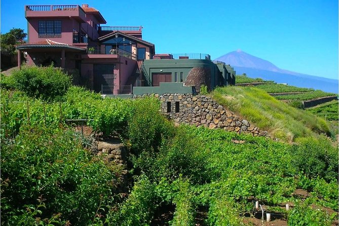 Bodegas Monje Winery Ticket w/Wine Tasting & Mojo Sauce Workshop - Price and value at $55.51