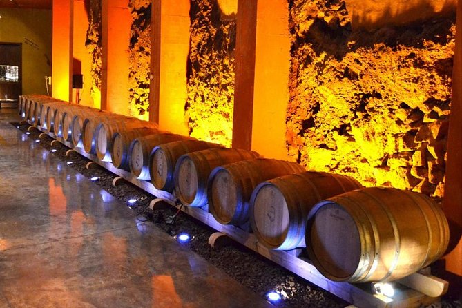 Bodegas Monje Winery Ticket w/Wine Tasting & Mojo Sauce Workshop - Who should book this experience