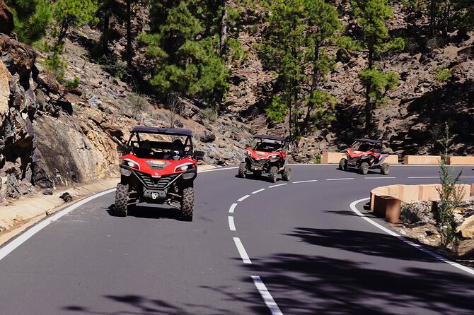 Buggy tour to Teide in Tenerife - The ride from San Miguel to the high slopes