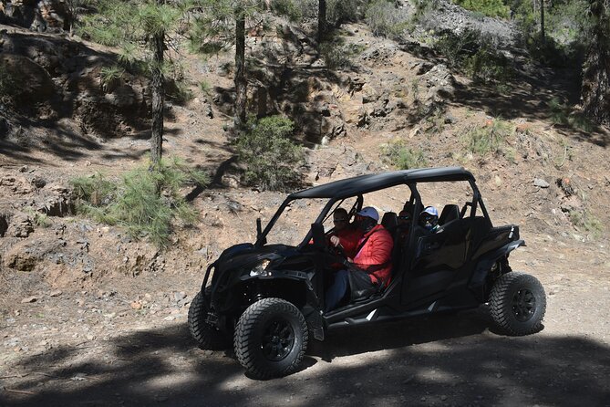Buggy tour to Teide in Tenerife - Guides, explanations, and photo stops