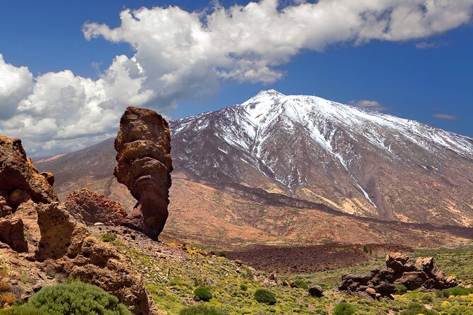 Cabrio Bus Full Day Guided Tour of Teide (SOUTH ONLY) - Teide National Park: A Volcanic World Above the Clouds