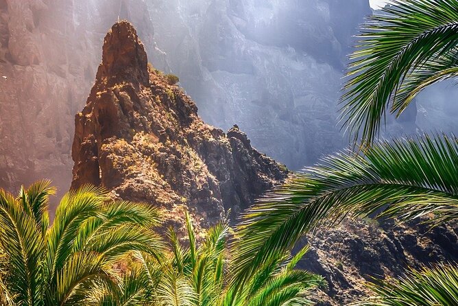 Cabrio Bus Full Day Guided Tour of Teide (SOUTH ONLY) - The Tasting Stop and What It Adds