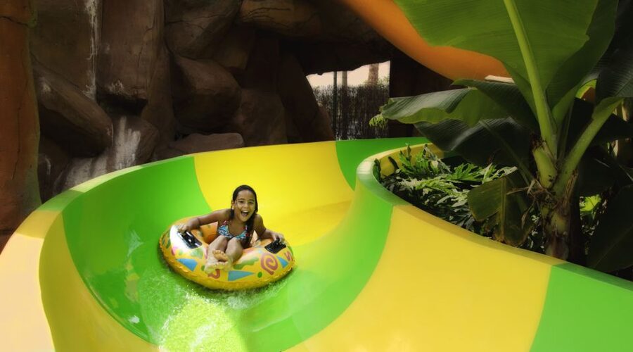 Costa Adeje: Aqualand Water Park Ticket with Dolphin Show - Practical Plan for a Full Day
