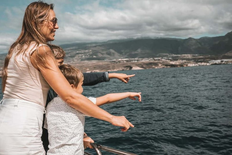 Costa Adeje: Catamaran Tour, Snorkelling, Snacks & Drinks - Practical details that can affect your day