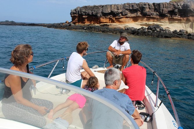 Costa Adeje | Cetacean sighting in Tenerife South - Why Tenerife’s south coast suits a cetacean trip