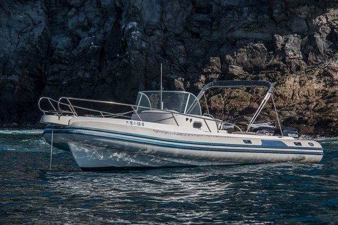 Costa Adeje | Cetacean sighting in Tenerife South - Price, timing, and who gets good value