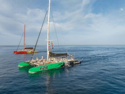 Masca and Los Gigantes Whale Watching Cruise