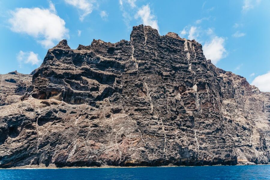 Costa Adeje: Masca and Los Gigantes Whale Watching Cruise - How this tour handles wildlife watching