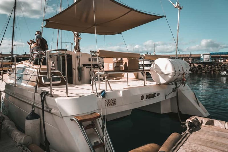 Costa Adeje: Private Catamaran Tour 22 Persons Max - Should you book the Costa Adeje catamaran?