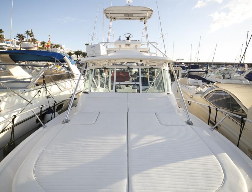 Costa Adeje: Private Yacht Sailing Tour from Puerto Colón - Who will enjoy this most