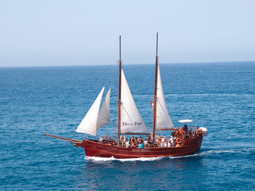 Costa Adeje: Respectful Whale-Watching Sailboat Tour & swim - Setting Sail from Puerto Colón on the Shogun