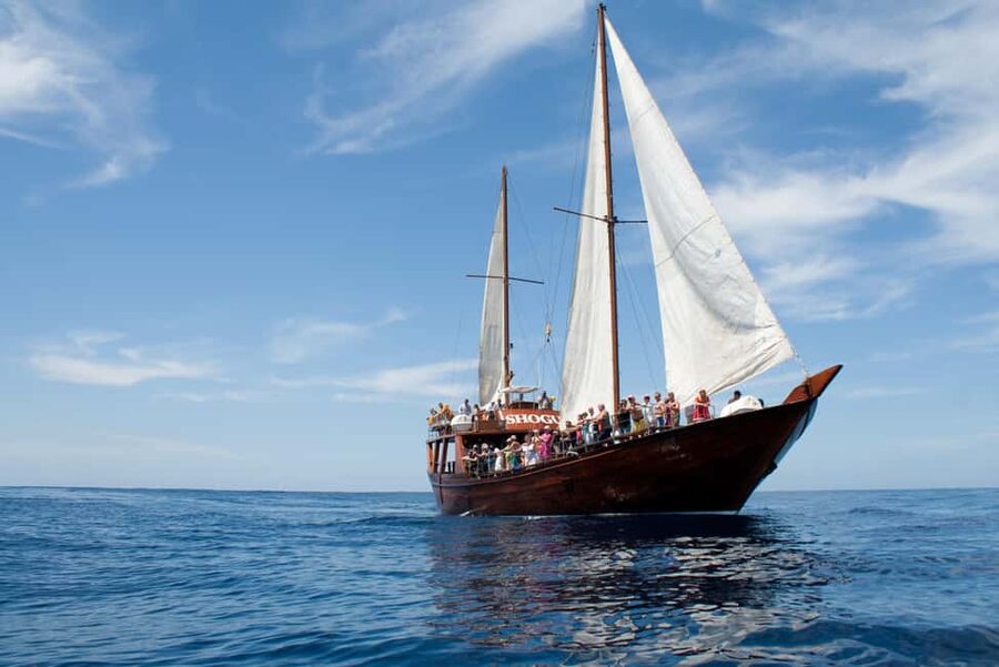 Costa Adeje: Respectful Whale-Watching Sailboat Tour & swim - Should You Book the Shogun?