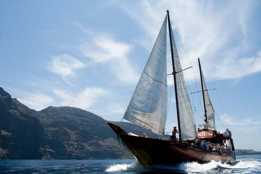 Costa Adeje: Respectful Whale-Watching Sailboat Tour & swim - Why Tenerife’s West Coast Attracts Pilot Whales