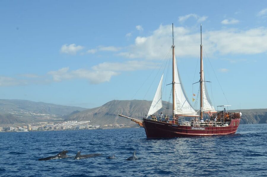 Costa Adeje: Respectful Whale-Watching Sailboat Tour & swim - Comfort, Sun, and Practical Boat Details