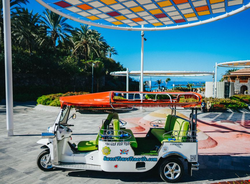 Costa Adeje: Secret Volcano Tuk Tuk Tour - Key points to know