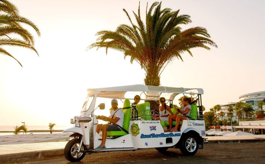 Costa Adeje: Secret Volcano Tuk Tuk Tour - What the tuk tuk is really like