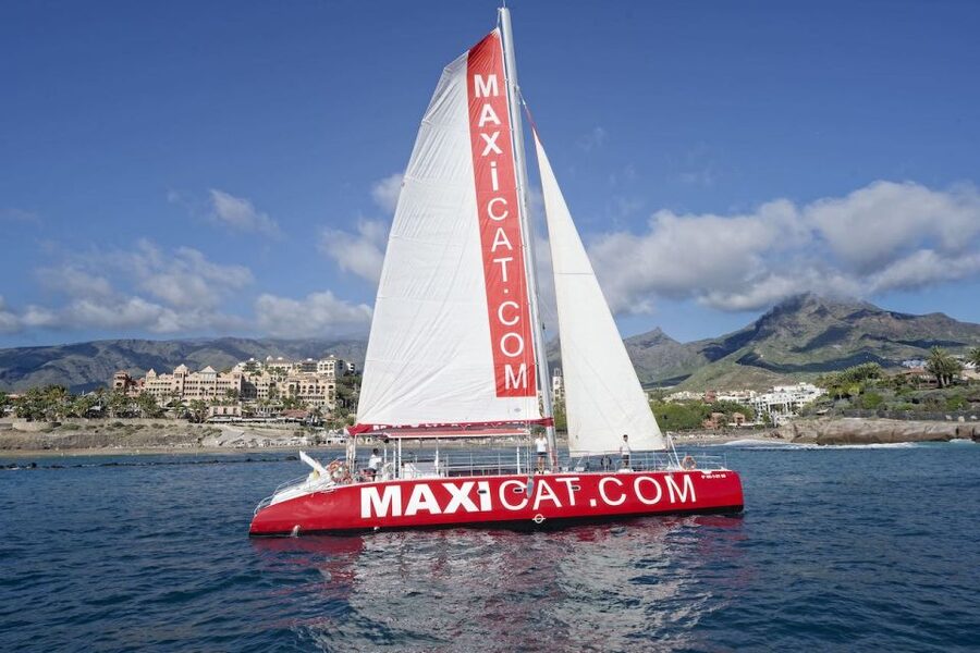 Costa Adeje: Whale and Dolphin Cruise with Food and Pickup - Key points to know before booking