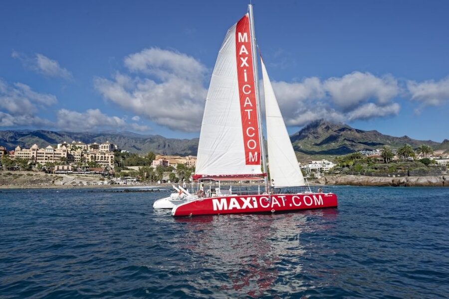 Costa Adeje: Whale and Dolphin Cruise with Food and Pickup - Views of Costa Adeje and Mount Teide