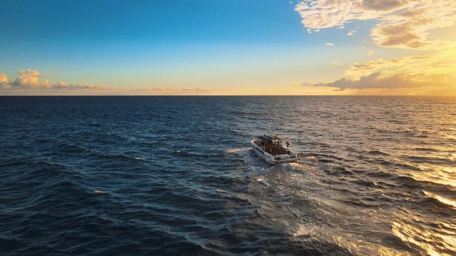 Costa Adeje: Whale and Dolphin-Watching Boat Excursion - Searching the open water for whales and dolphins