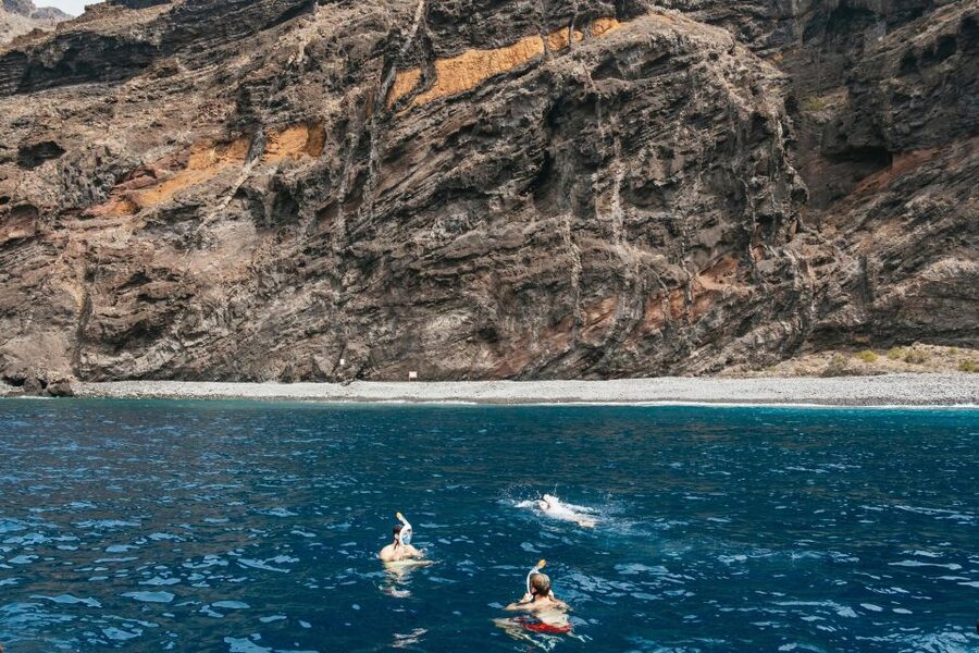 Costa Adeje: Whale & Dolphin Eco-Cruise with Snacks & Drinks - What this Costa Adeje whale cruise actually offers